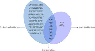 Exome sequencing data reanalysis of 200 hypertrophic cardiomyopathy patients: the HYPERGEN French cohort 5 years after the initial analysis